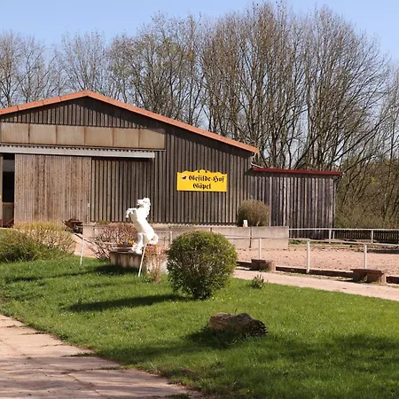 Gefildehof Goepel, Anita Goepel إيزيناخ